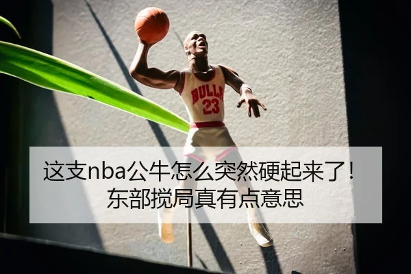 这支nba公牛怎么突然硬起来了！东部搅局真有点意思