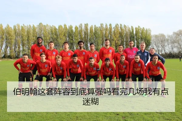 伯明翰这套阵容到底算强吗看完几场我有点迷糊 | leyu