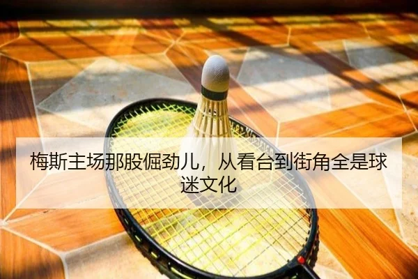 梅斯主场那股倔劲儿，从看台到街角全是球迷文化 | leyu